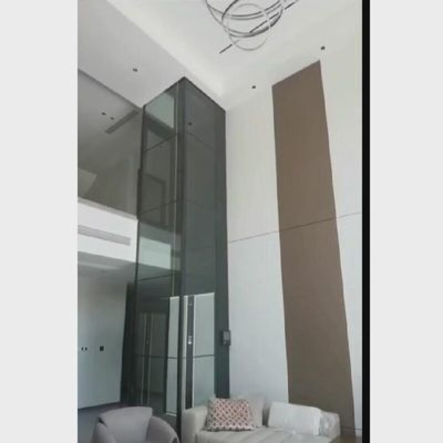 safe reliable screw driven elevator stainless steel design with emergency stop button.jpg