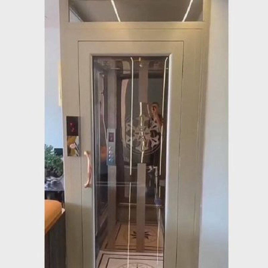 modern traction home elevator lightweight aluminium frame.jpg