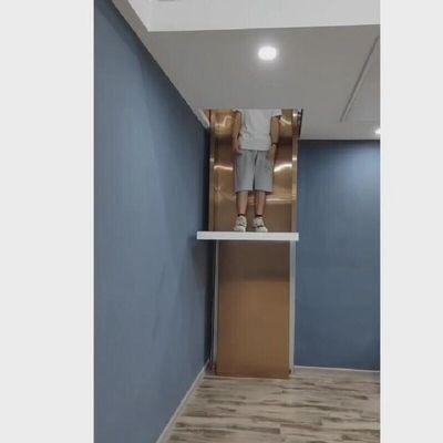 30M Travel Domestic Hydraulic Lift 400Kg Compact Hydraulic Home Lift 