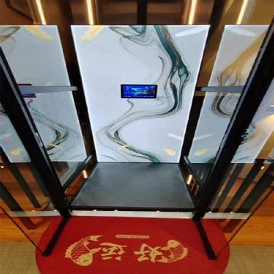 Stainless-Steel Hydraulic Home Elevator – 14.5 m, Pitless Design