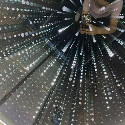 Fashion Automatic Sliding Door Traction Home Elevator 0.4-1.0 M/S Marble Flooring
