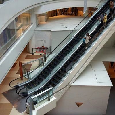 800mm 1000mm 1200mm Step Width Walkway Escalator Flat Escalator Moving Walkway