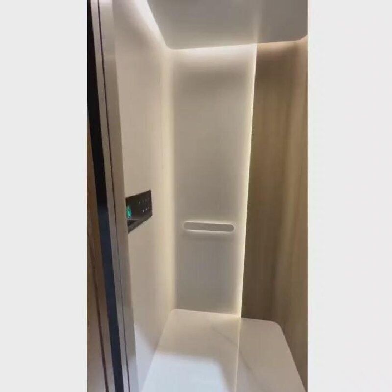 220V AC Screw Drive Home Elevator with Automatic Sliding Door and 400 Kg Capacity