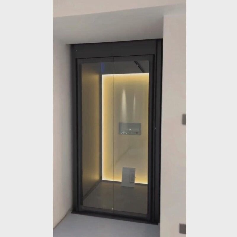 Ultra-Compact Home Elevator | Fits in Just 3x3 Feet (Space-Saving)