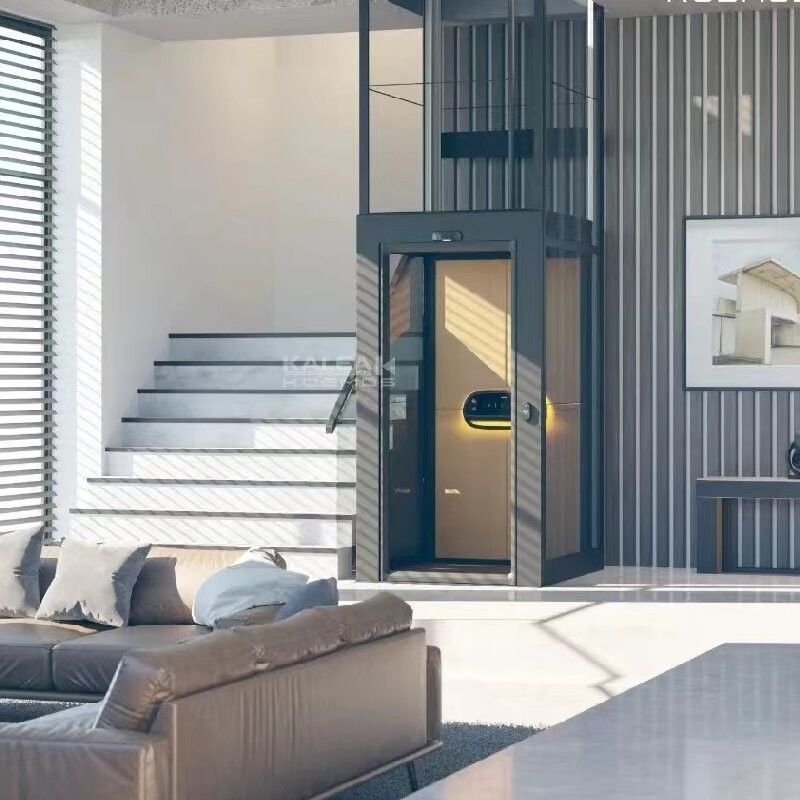 Compact 500 kg Screw-Driven Home Elevator for Indoor Installations