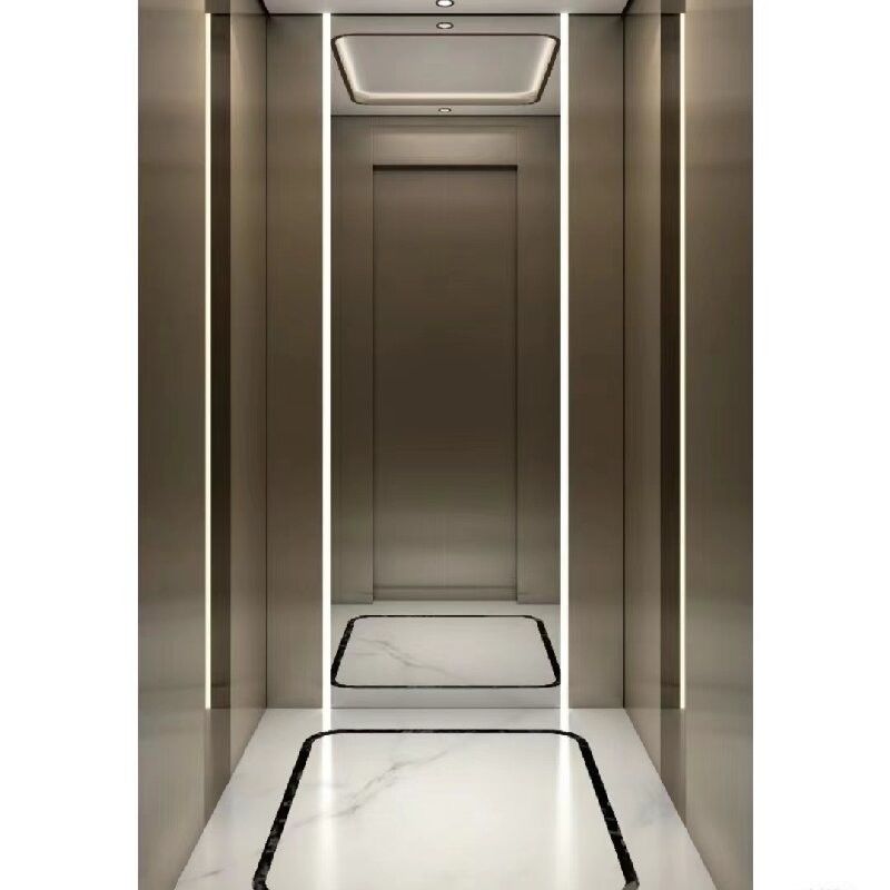 Single Phase AC Residential Hydraulic Elevators With 2.9M Large Cylinders For Deck Floor