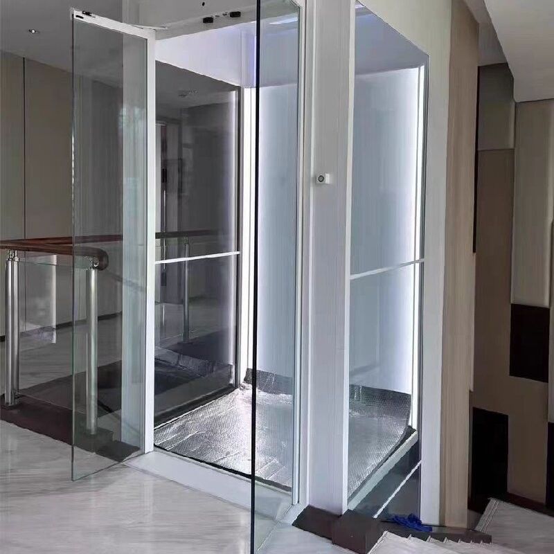 0 M Pit Depth Single phase Home Elevator with Microprocessor and Emergency Stop