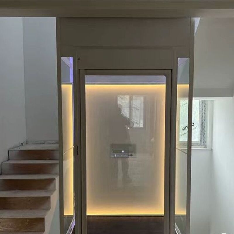 2.9M Length Hydraulic Home Elevator Microprocessor Control Outdoor Home Elevators
