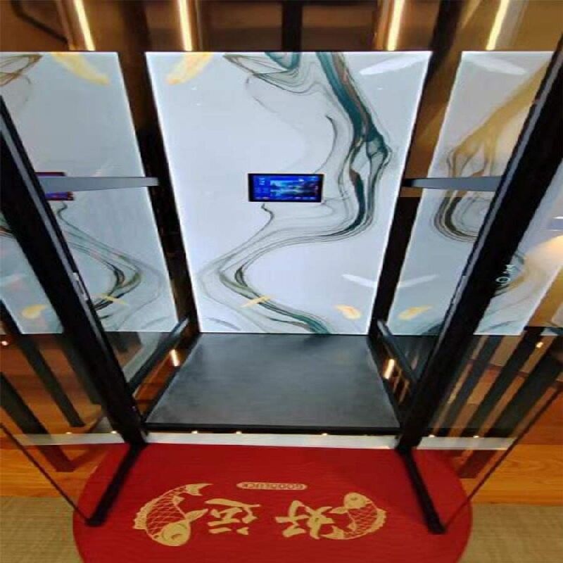 304 SS Hydraulic Home Elevator 400kgs 500kgs Load Hydraulic Lift For House
