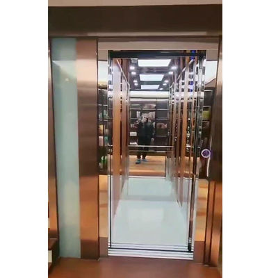 Stainless Steel Traction Home Elevator | Smooth & Quiet Ride