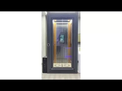 Traction elevator sightseeing